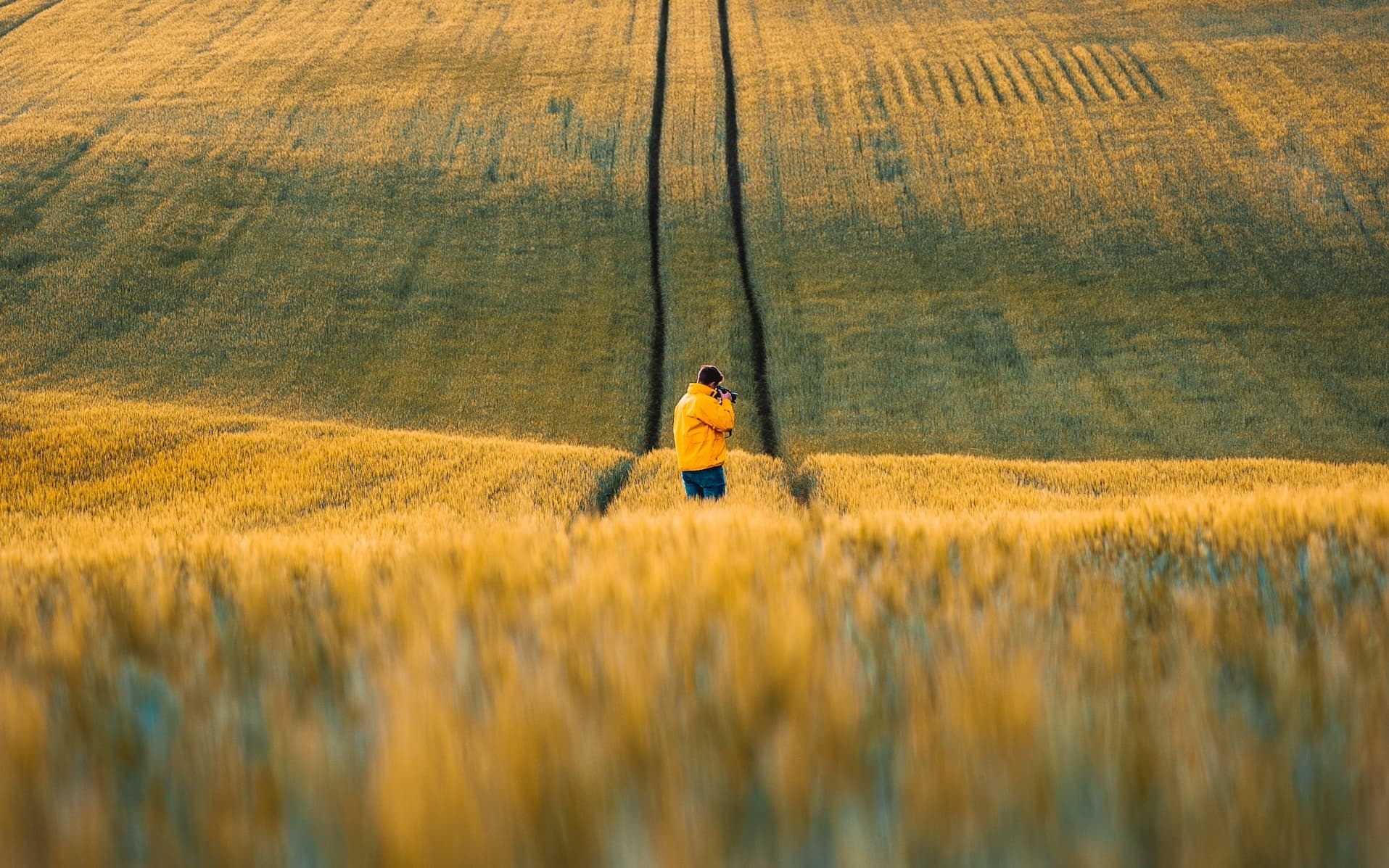 Making React Titles Easier to Read