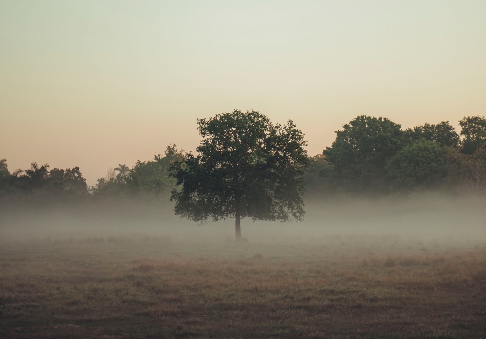 Why Must There Be "Belief"?