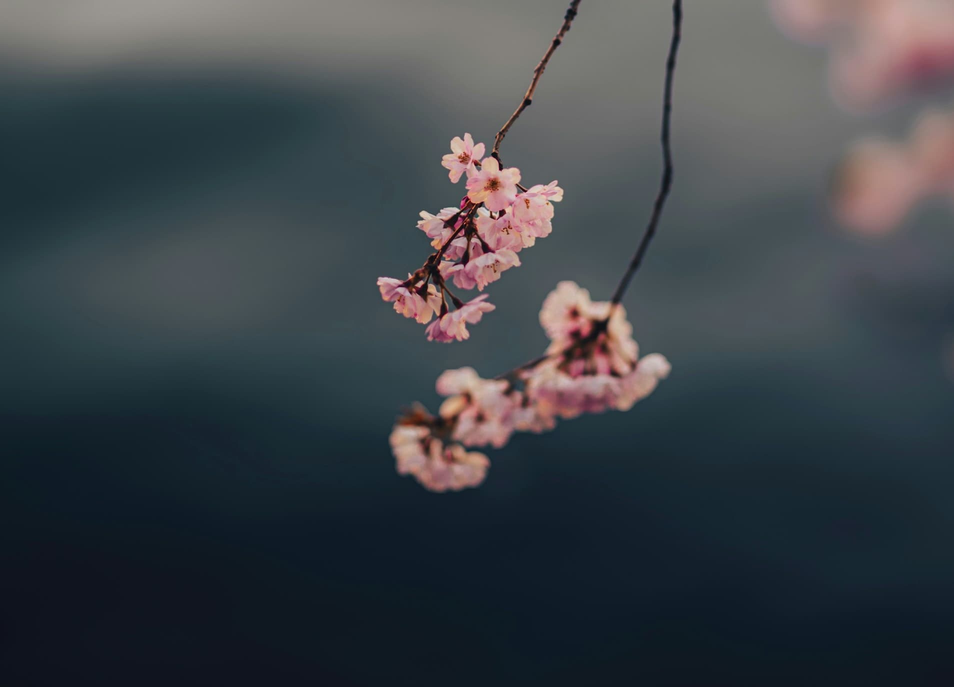 Just Because You Can Make Money, Doesn’t Mean You Can Manage It