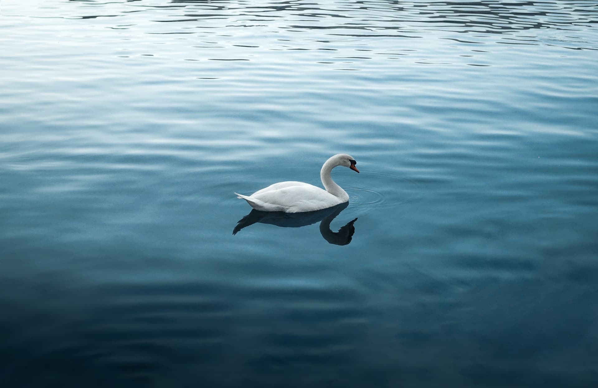 The Most Selfish Thing We Can Do to a Partner Is Saying We're Fine