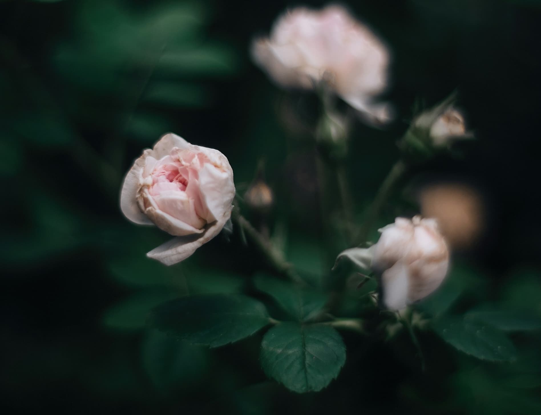 The World Is Cruel to Men