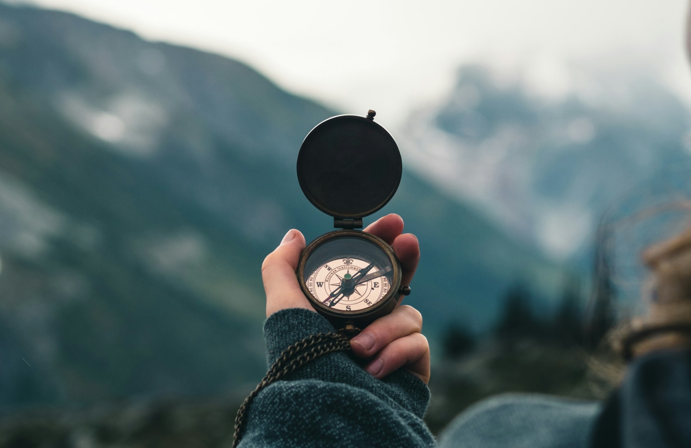 Building a Search Component in Next.js App Router